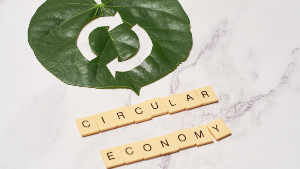 Unleashing the Potential of a Circular Economy with DME